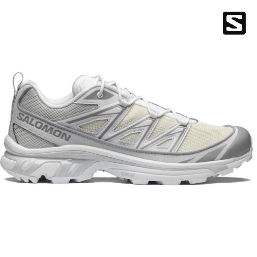 Light Grey Salomon Xt-6 Expanse Women's Sneakers | PH 06279S